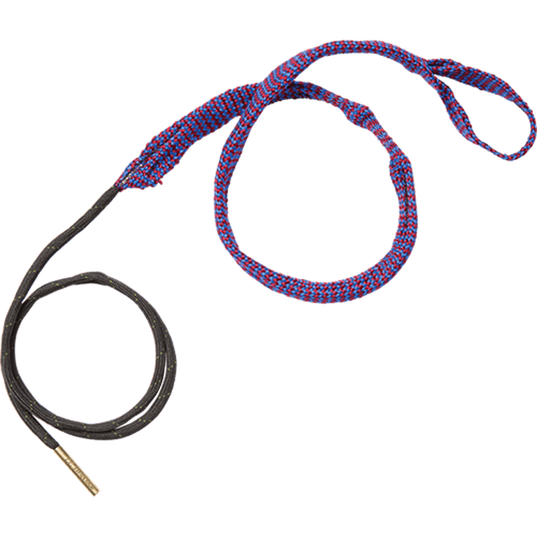 Hoppe's BoreSnake on transparent background