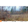 CelluCORE™ 20 Low Glow Cellular Trail Camera