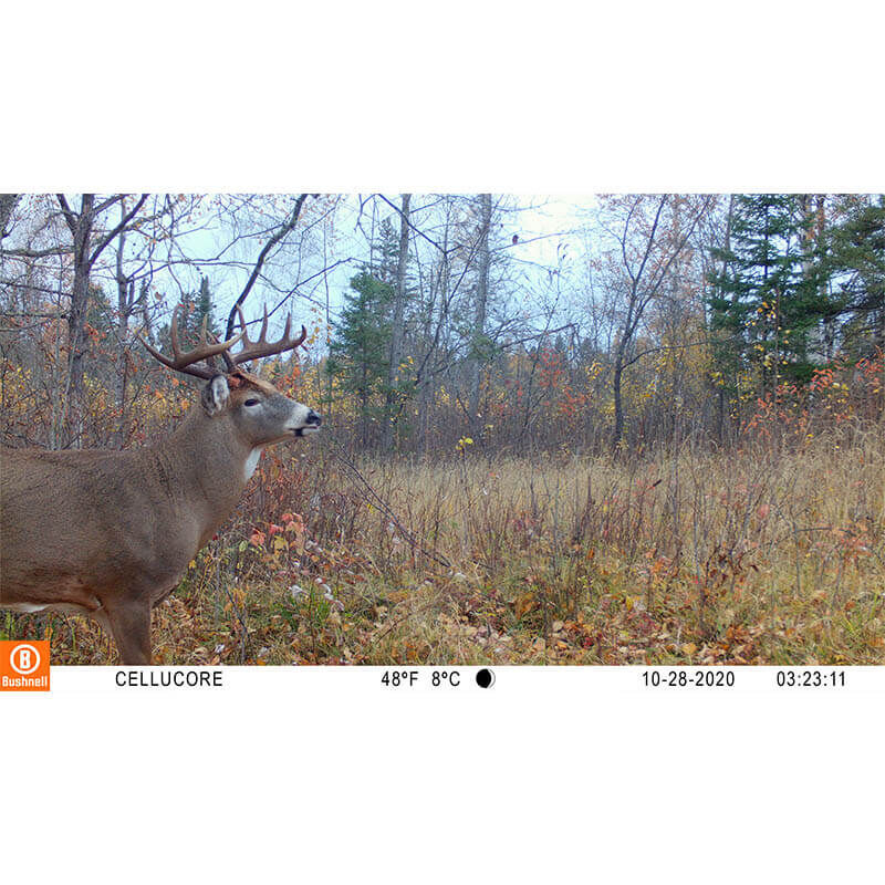 CelluCORE™ 20 Low Glow Cellular Trail Camera