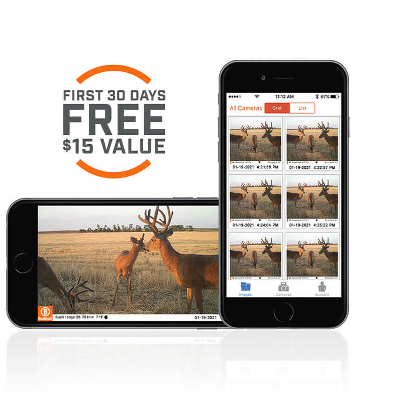 CelluCORE™ 20 Low Glow Cellular Trail Camera