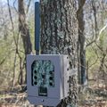 Trail Camera Security Box - Cellular Version