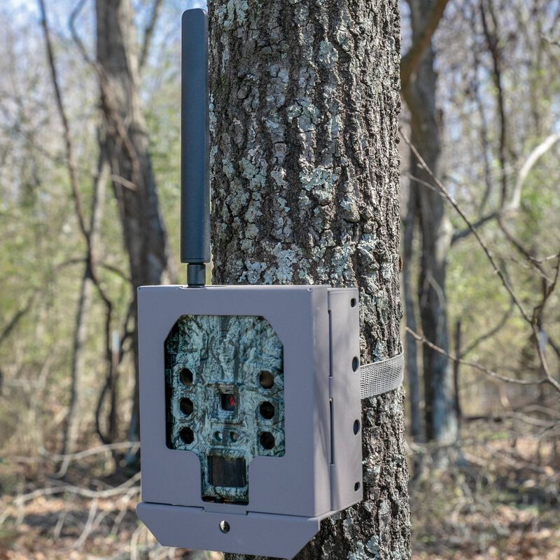 Trail Camera Security Box - Cellular Version