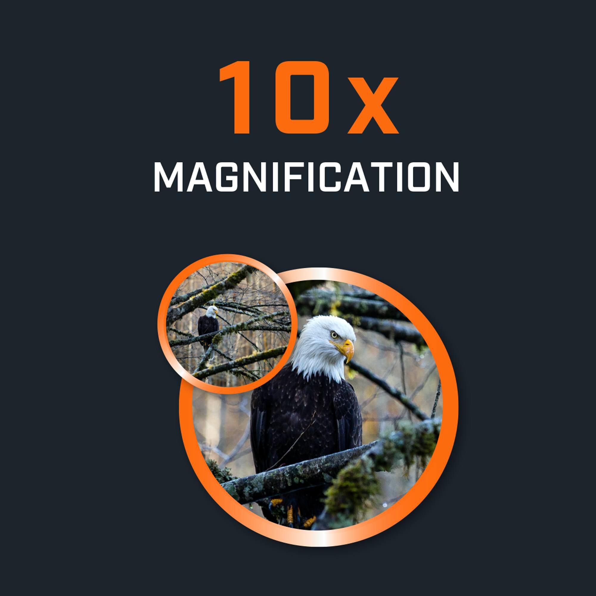 H2O Water Resistant Binoculars, 10x42 Magnification | Bushnell